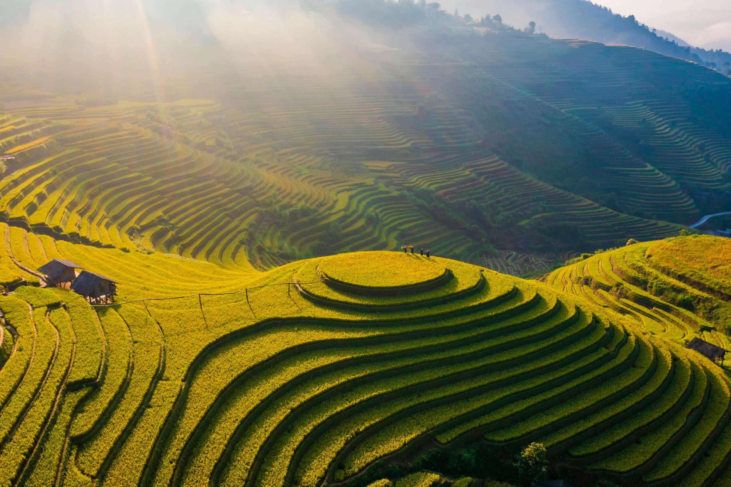 pexels nguy n hung 2151434799 31670385